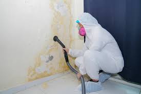 Best Environmental Consulting for Mold Prevention  in Coats Bend, AL